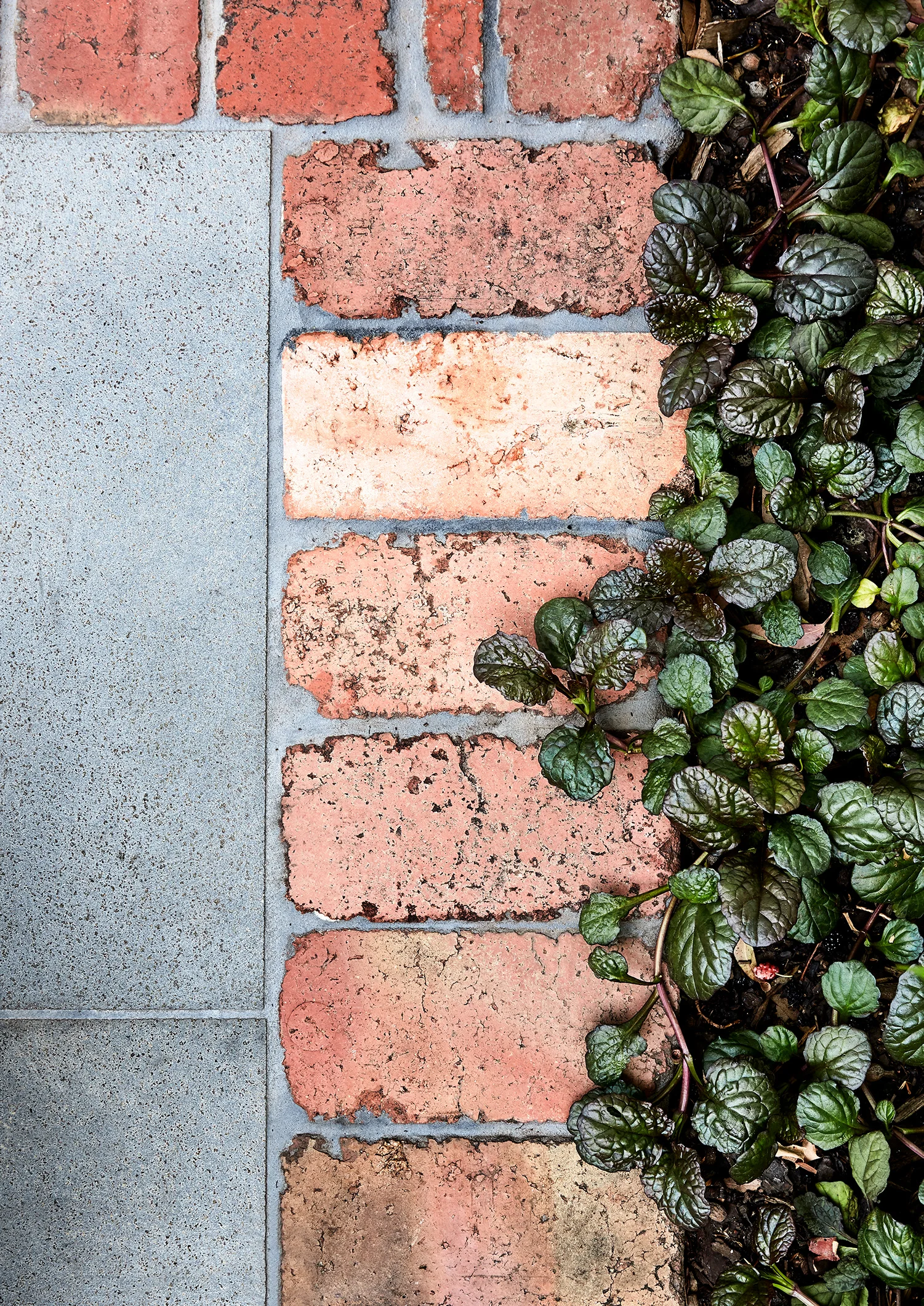 © CAITLIN MILLS PHOTOGRAPHY