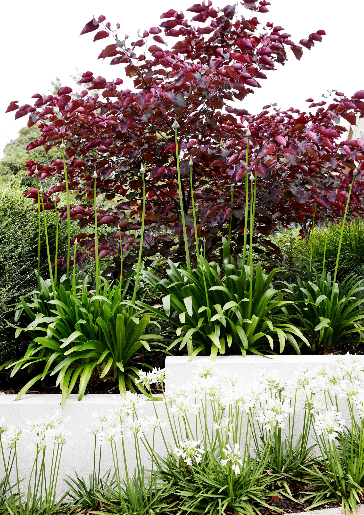 © CAITLIN MILLS PHOTOGRAPHY