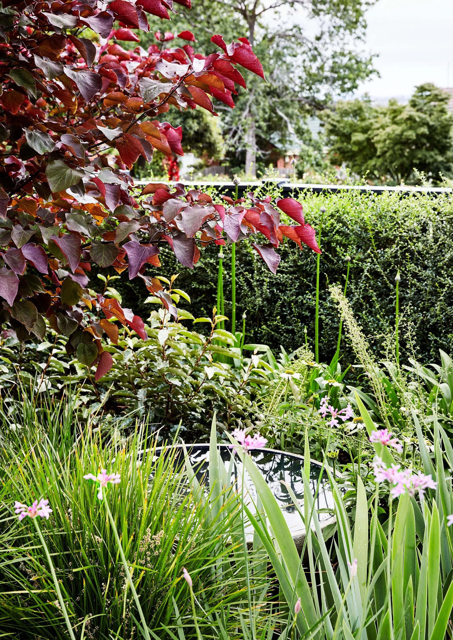 © CAITLIN MILLS PHOTOGRAPHY