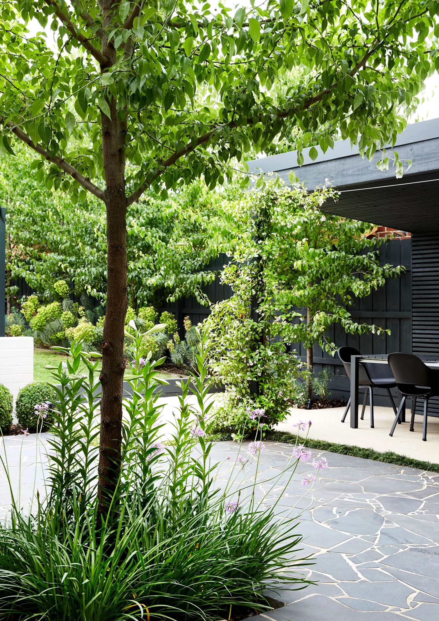 © CAITLIN MILLS PHOTOGRAPHY