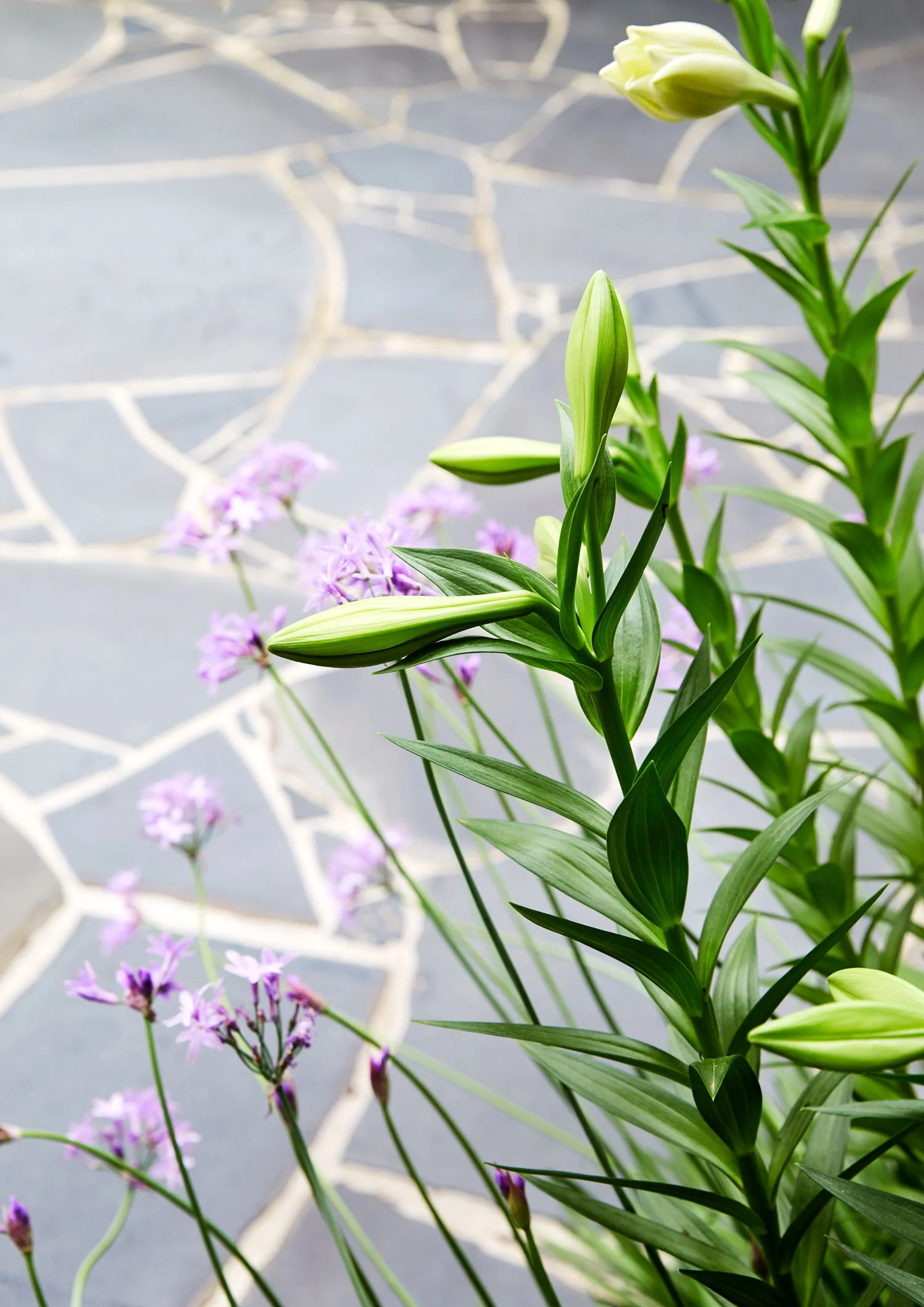 © CAITLIN MILLS PHOTOGRAPHY