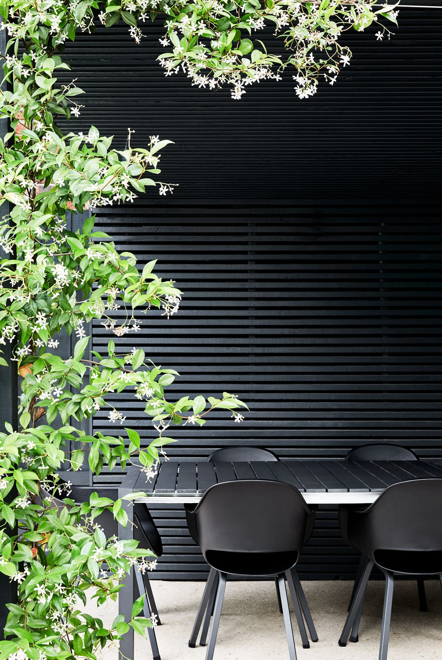 © CAITLIN MILLS PHOTOGRAPHY