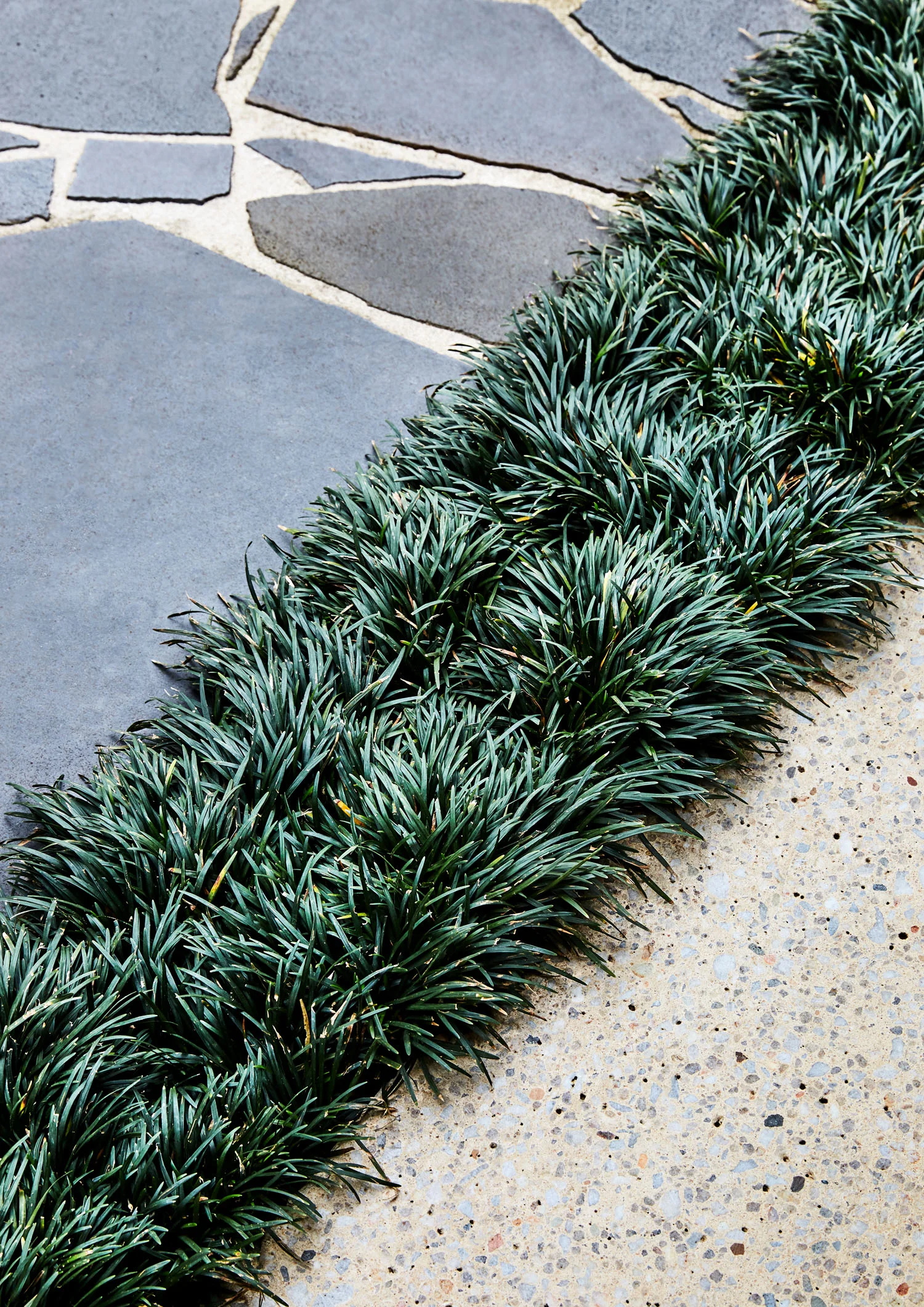 © CAITLIN MILLS PHOTOGRAPHY