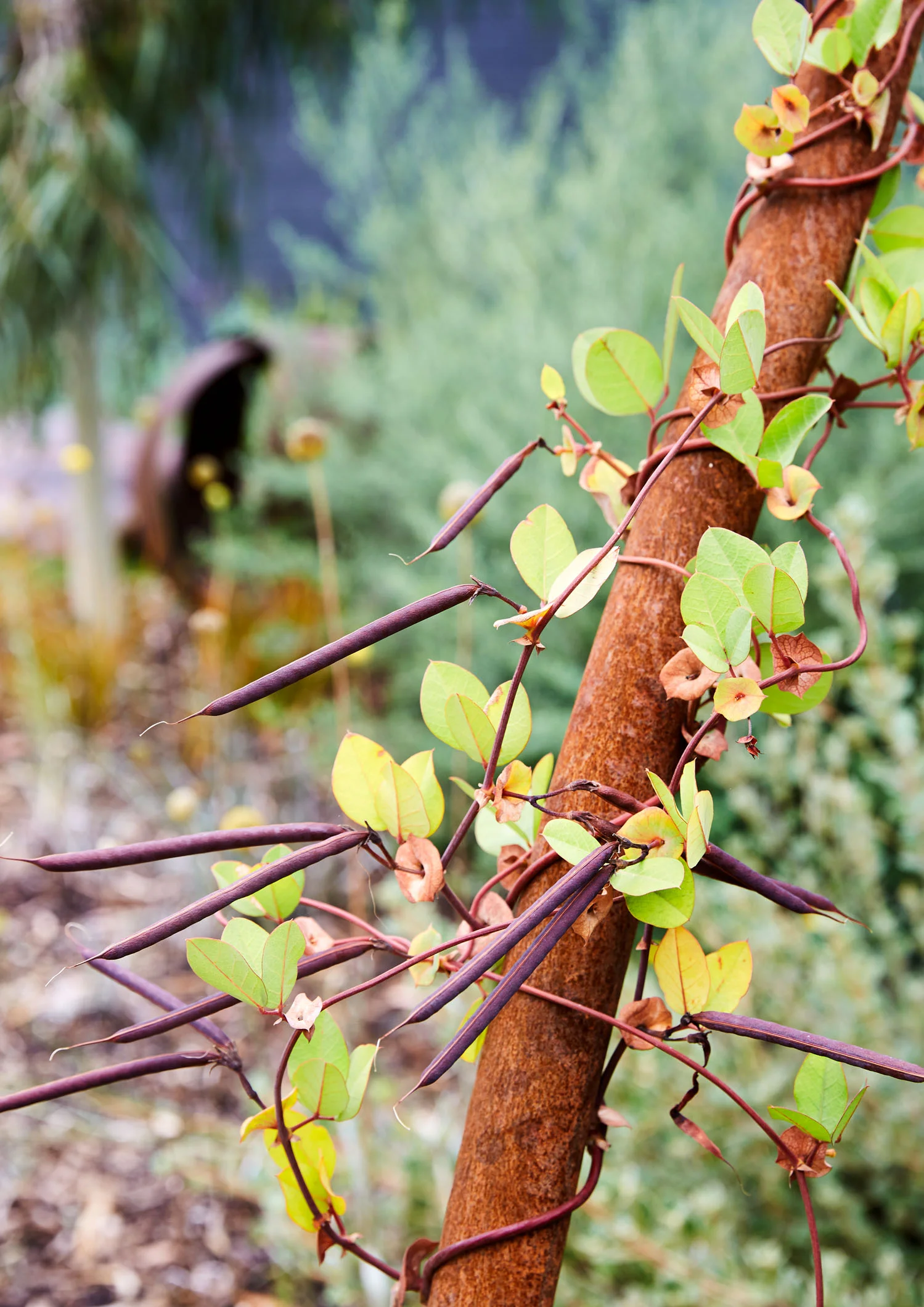 © CAITLIN MILLS PHOTOGRAPHY