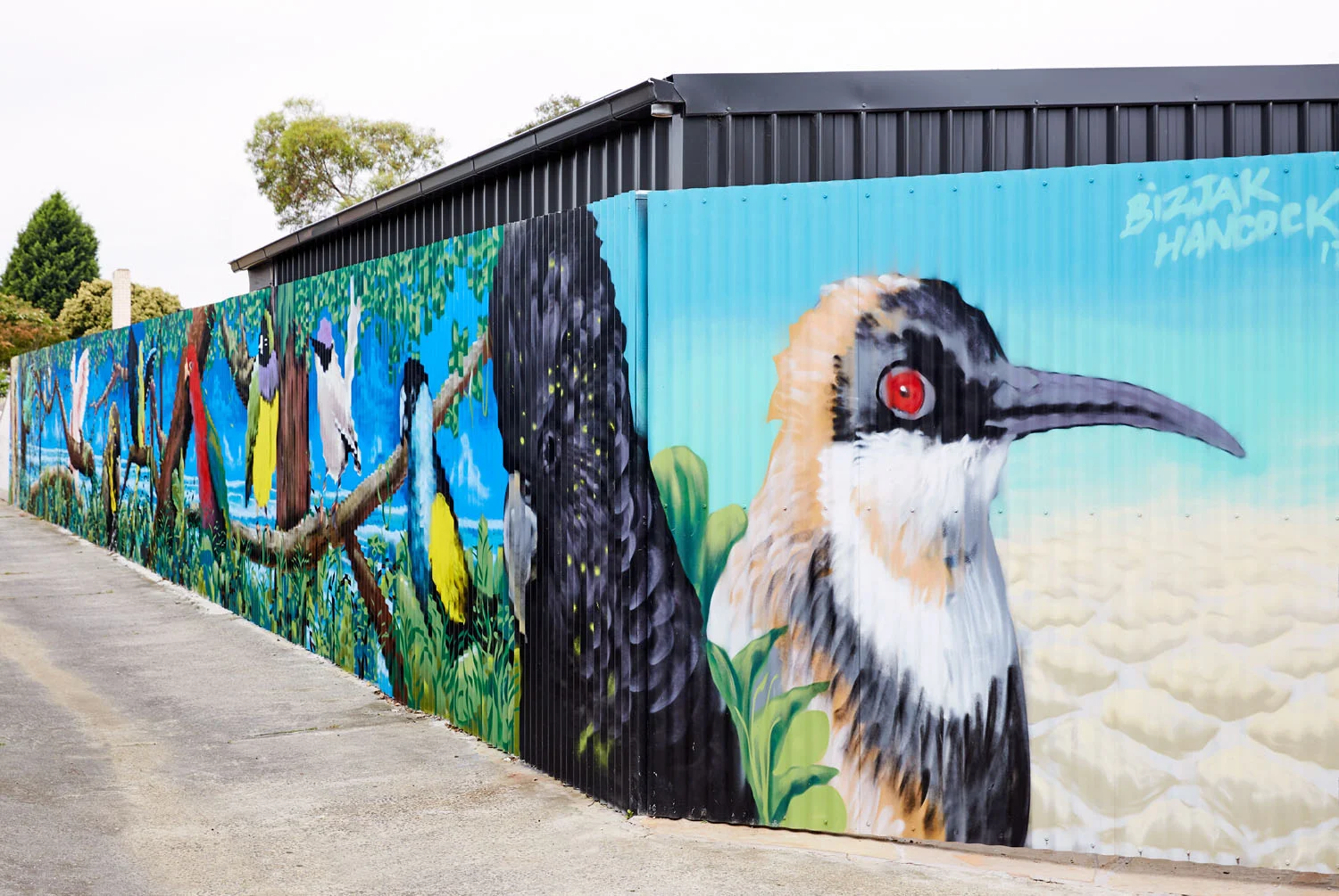 © CAITLIN MILLS PHOTOGRAPHY