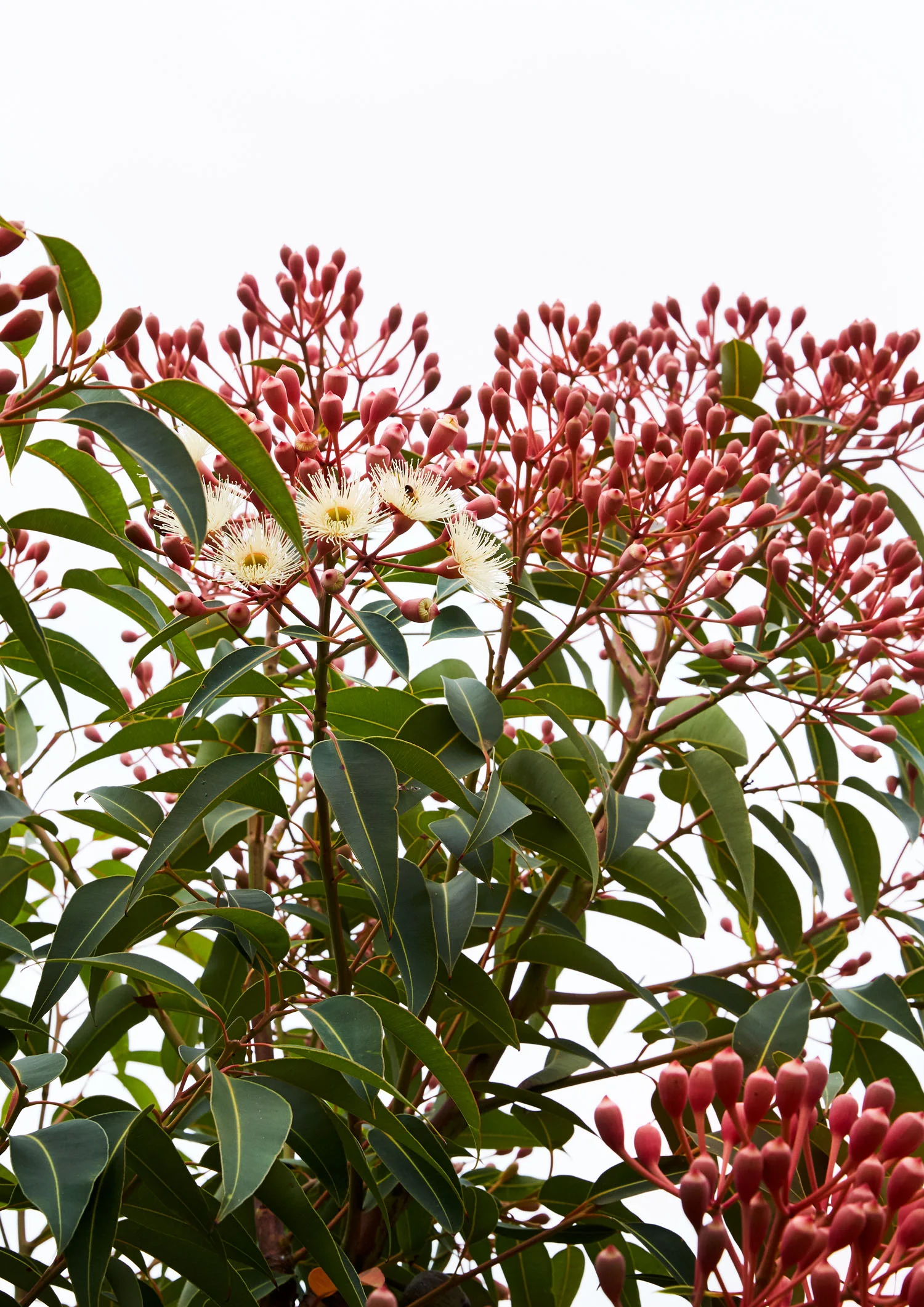 © CAITLIN MILLS PHOTOGRAPHY