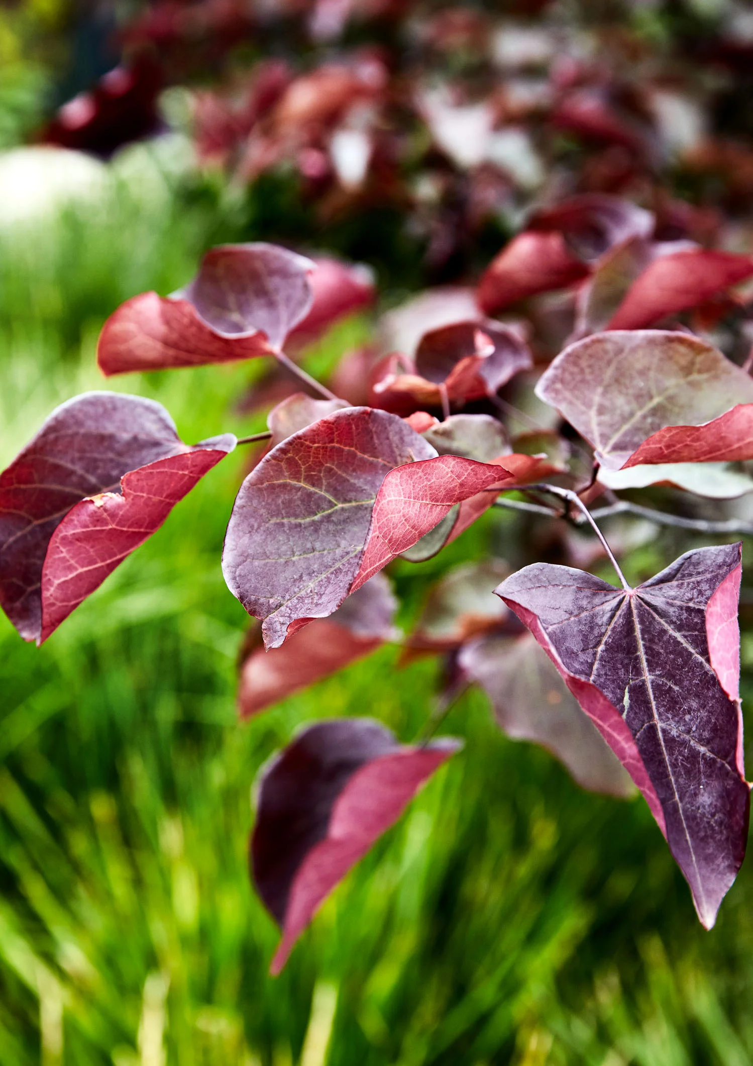 © CAITLIN MILLS PHOTOGRAPHY