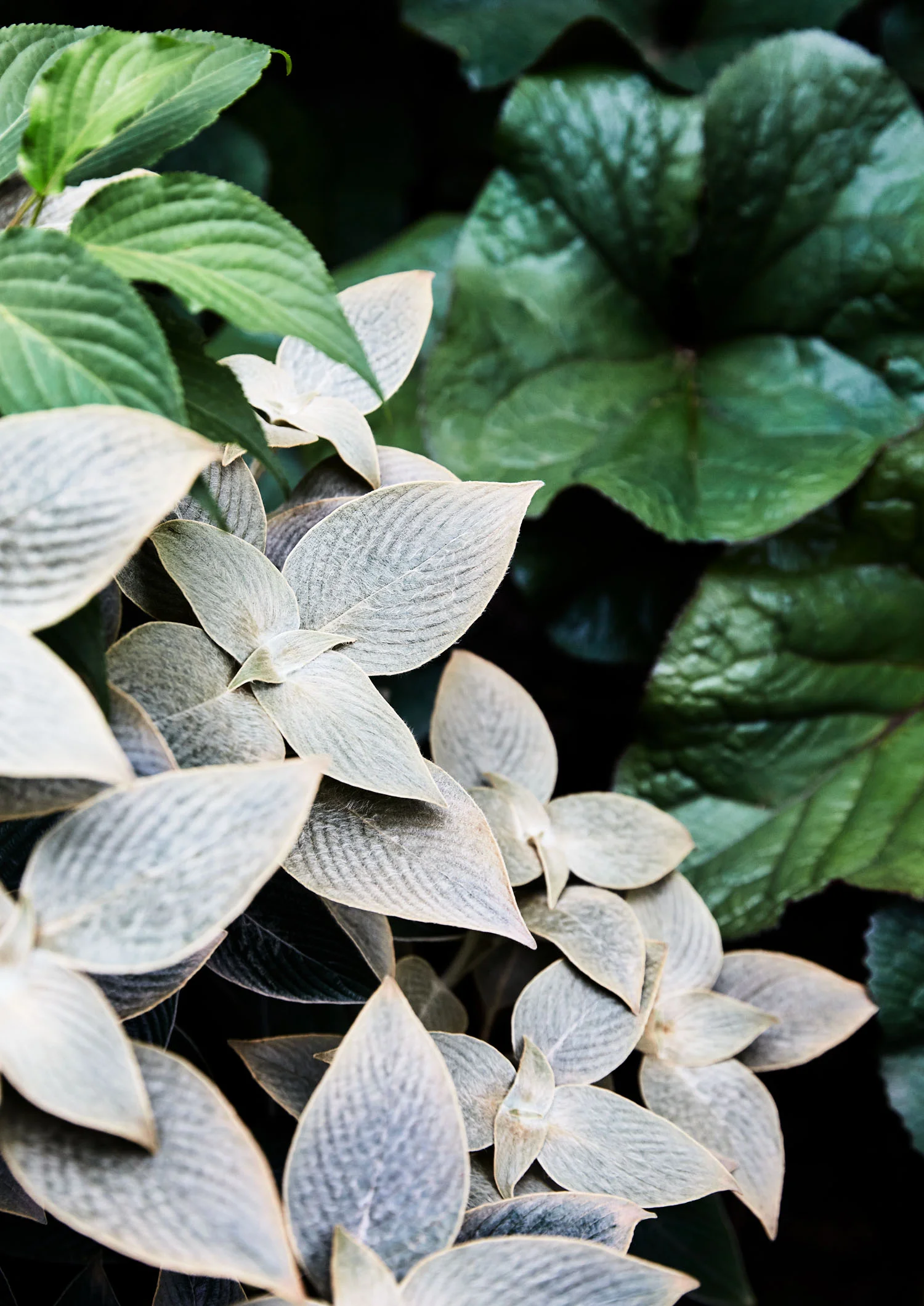 © CAITLIN MILLS PHOTOGRAPHY