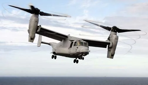 Osprey to cut out.jpg