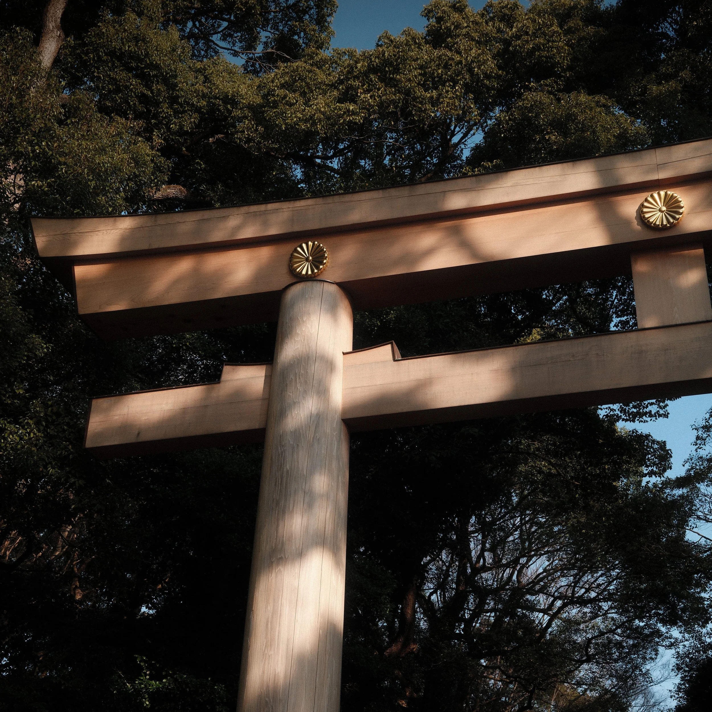 DSCF0852 2.jpg