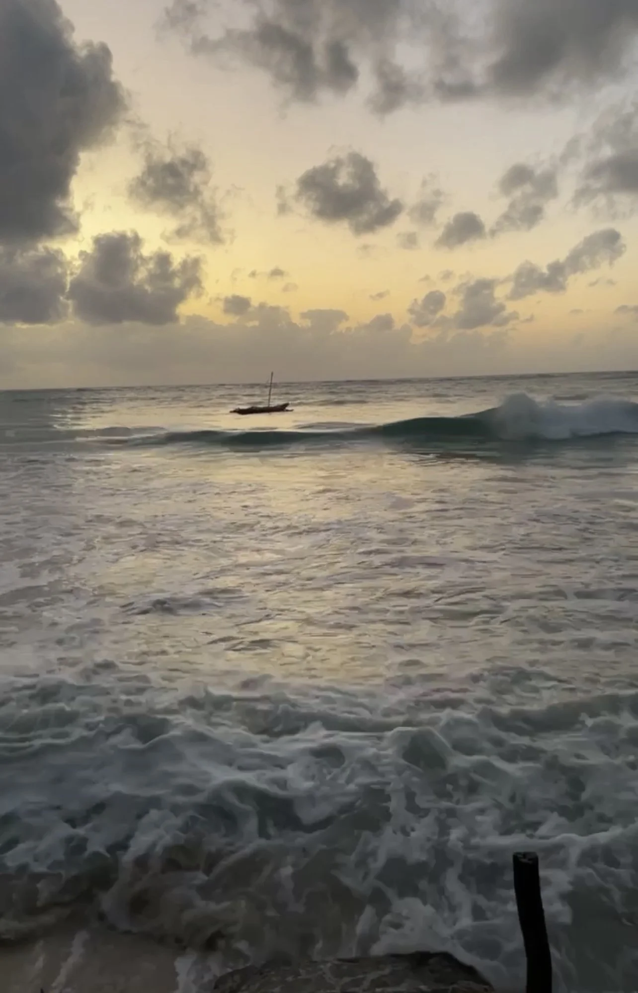 this is not a rebrand; this is a rebirth