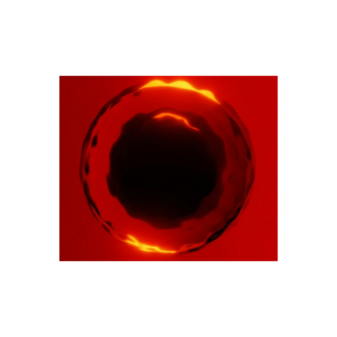 The Music Grant Theory: The Artist is the Nucleus