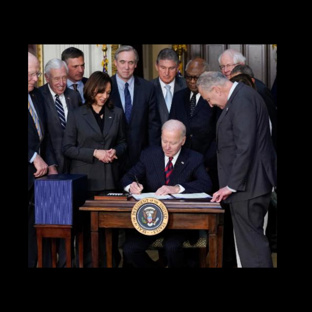 6-IMPACT GALLERY.png