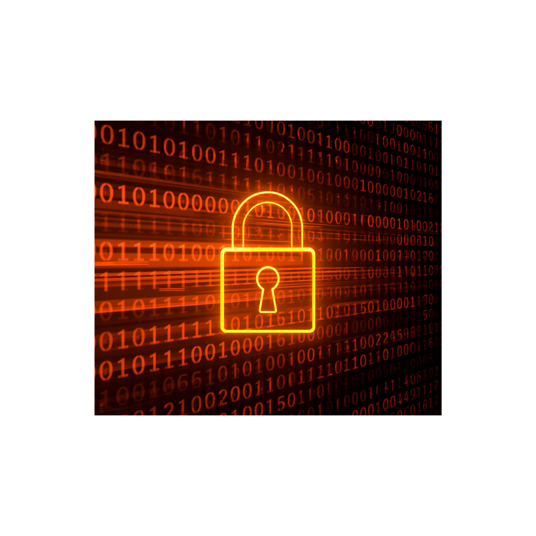 Pillar 3: Transparency and Security 