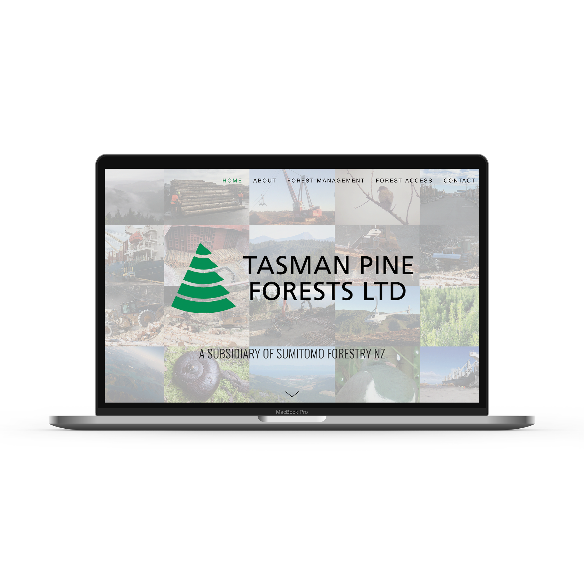 Macbook-Pro-Tasman-Pine.png
