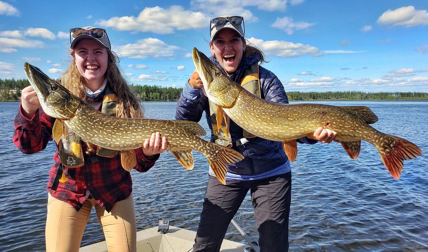 Words cannot describe how special this trip was to Northern Saskatchewan with @jennamckeownflyfish - the opportunity to film a dual hosted, women led episode of @theofficialnewflyfisher was nothing short of an honour. 
-
Check out the full length fea