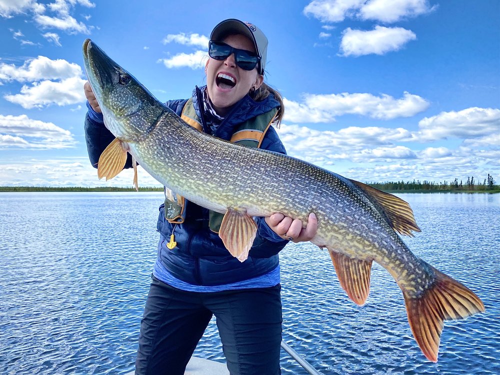 The New Fly Fisher: Episodes — Alyx Parks Fly Fishing