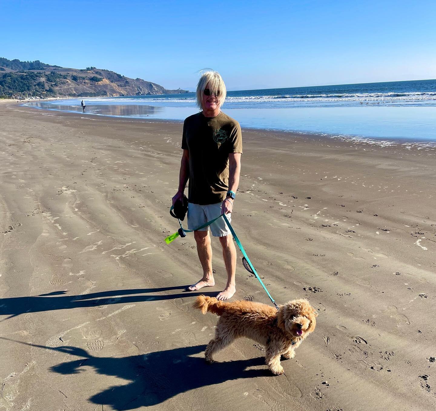 Thanksgiving outing to Stinson Beach on a gorgeous blue-sky Northern California day. Beach boy Bo was stoked to take a 4-mile stroll along the ocean. Thankful for this Golden State. #thanksgiving #stinsonbeach #california #beach #havapoo #ocean