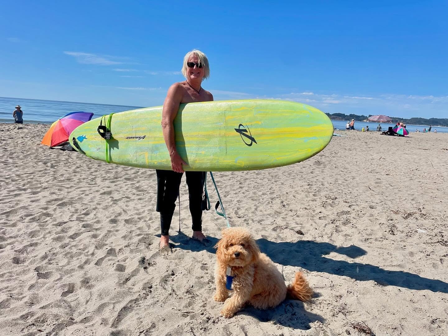 We escaped the California heat wave (98 F in Berkeley today) at Stinson Beach. So hot only needed to wear half a wetsuit. Pulled the Vernor 8&rsquo;0&rdquo; out of retirement to ride the shore break. #stinsonbeach #california #surf #surfing #havapoo