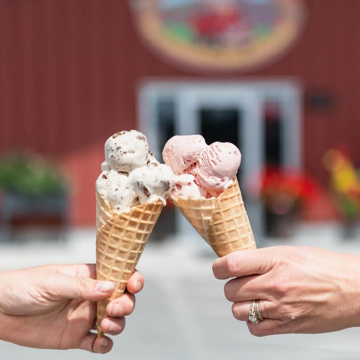 Did you know that we carry a large selection of Island Farms ice cream?🍦 

Island Farms has been proudly serving up the taste of freshness since 1944, and stands by quality close to home. Their ice cream is made with only quality Canadian milk, 100%
