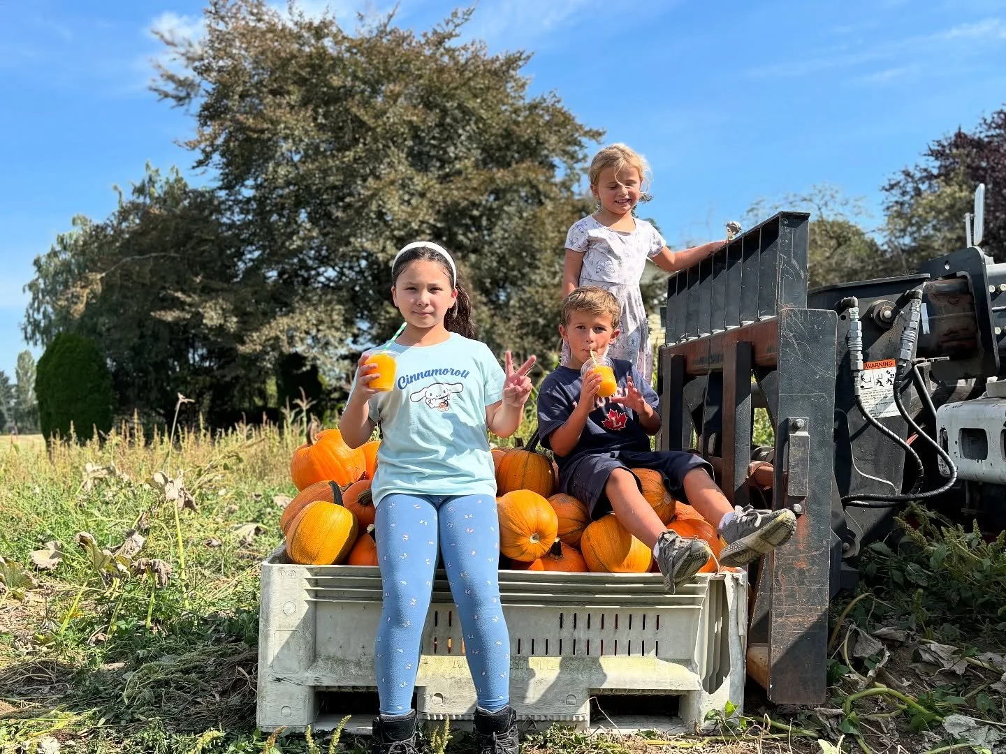🎃 It&rsquo;s Pumpkin Season and our patch is officially picked!

These 3 little helpers worked hard gathering up all the pumpkins &mdash; and now they&rsquo;re all lined up out front, ready to head to their new homes.

Come by, say hi 👋 pick your f