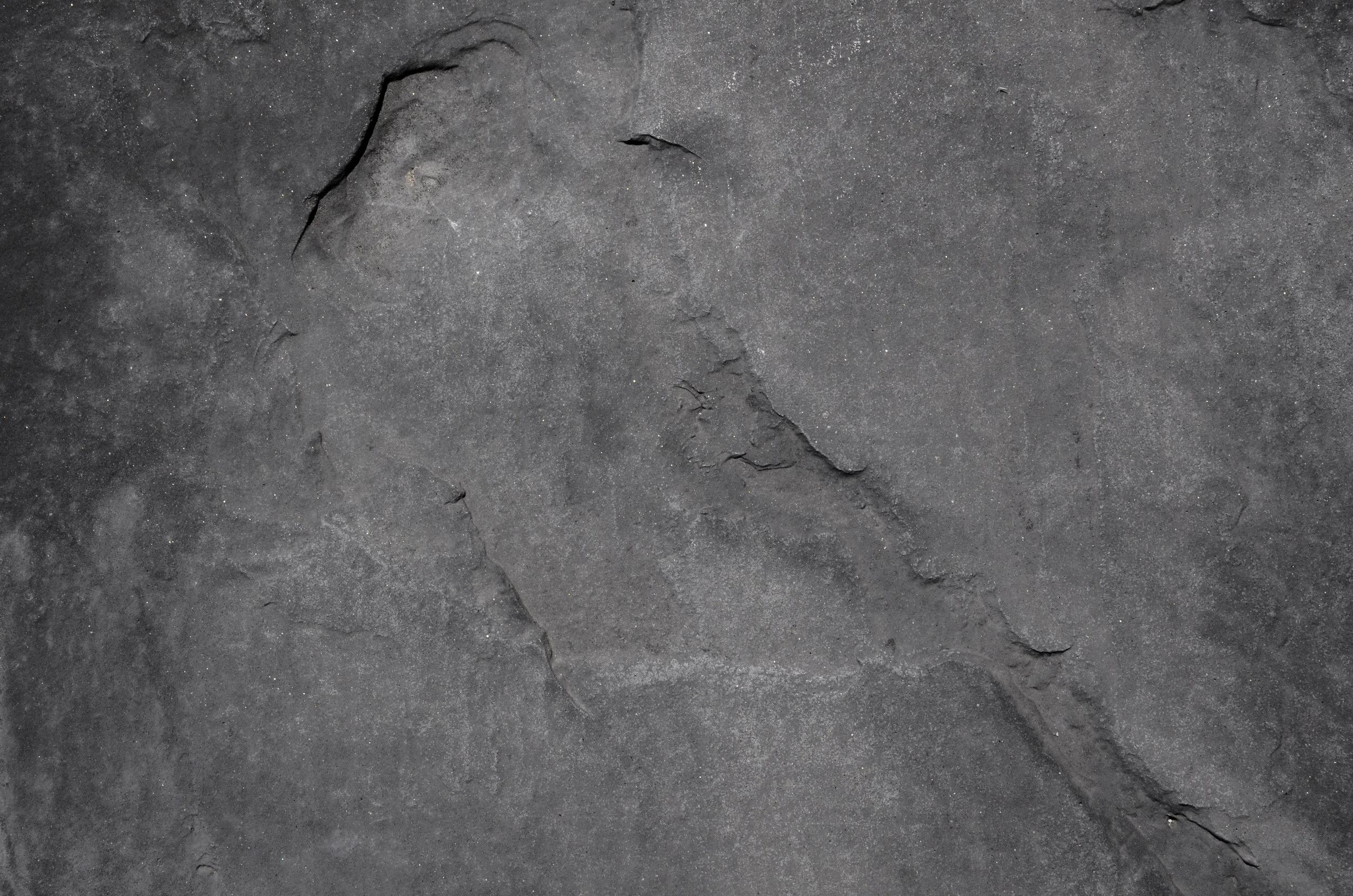 floor-gray-grey-8892.jpg
