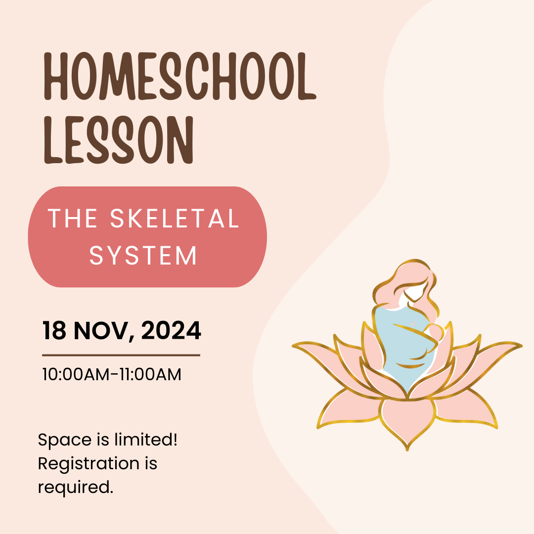 Homeschool Lesson: The Skeletal System