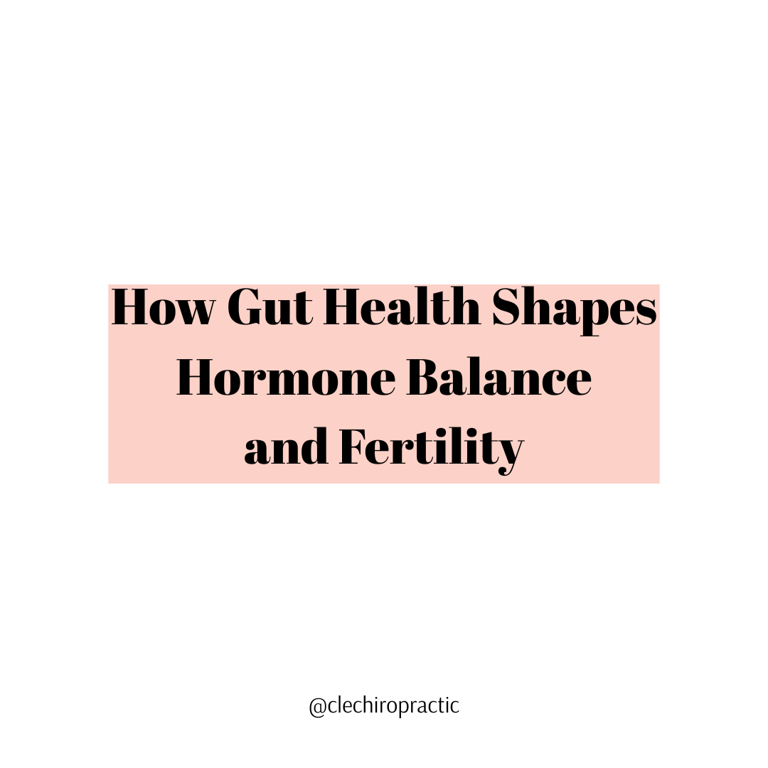 How Gut Health Shapes Hormone Balance and Fertility