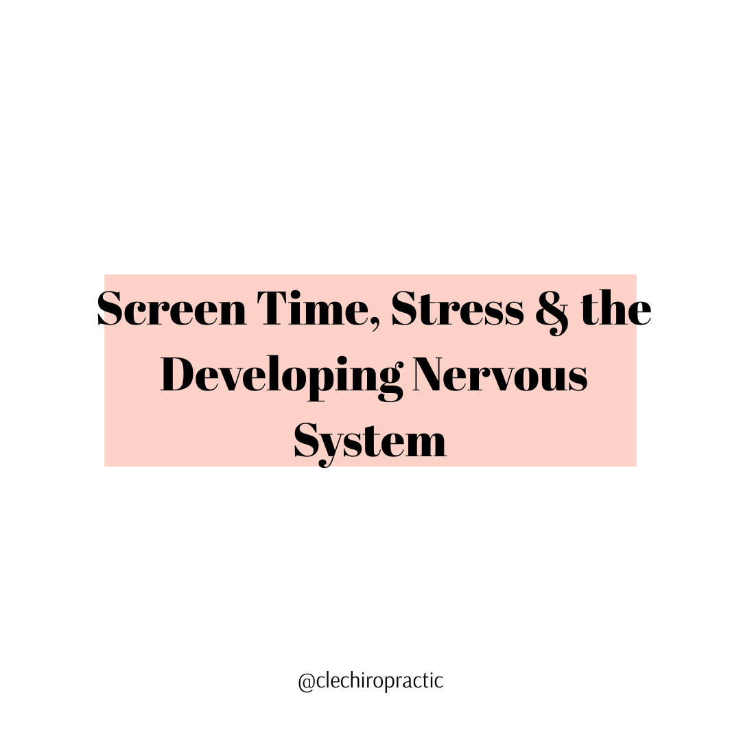 Screen Time, Stress &amp; the Developing Nervous System