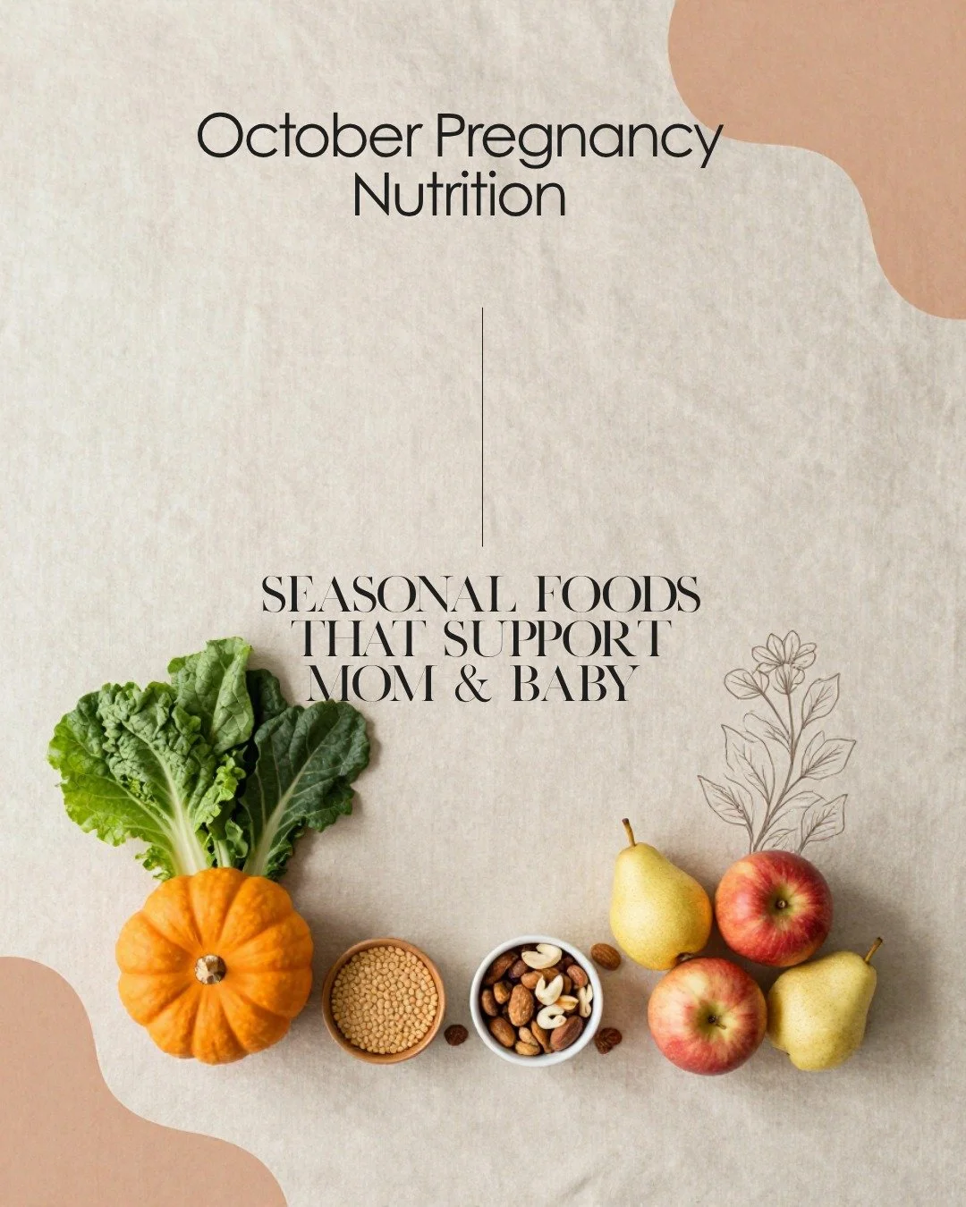 October Pregnancy Nutrition: Seasonal Foods That Support Mom &amp; Baby 

Fall is full of delicious ways to nourish yourself during pregnancy! From vitamin-rich sweet potatoes and pumpkin to fiber-packed apples, pears, and oats, seasonal foods can he