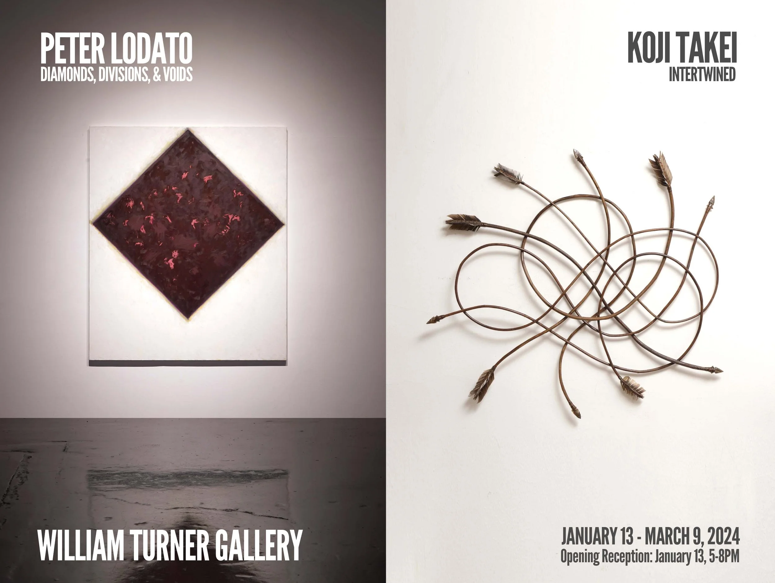 PETER LODATO: Diamonds / Divisions / Voids  &  KOJI TAKEI: Intertwined - Saturday, January 13, 5-8PM