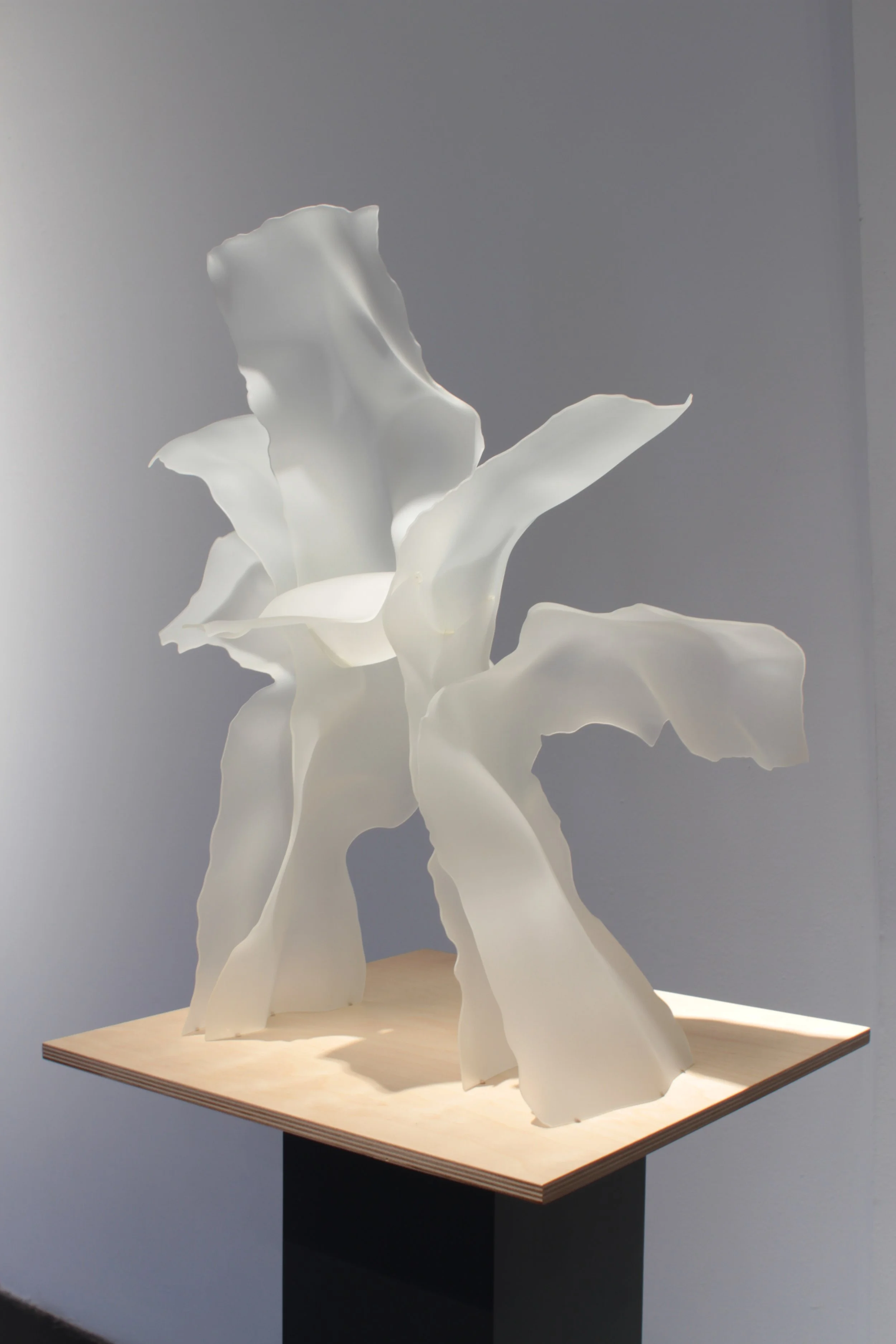 SURFACE TENSION: FOCUS LOS ANGELES