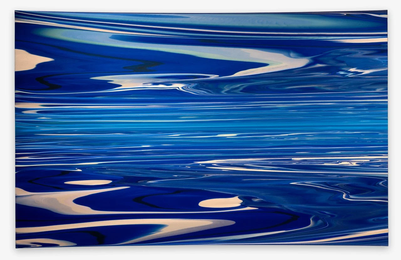 ANDY MOSES: Into the Light @ LAGUNA ART MUSEUM