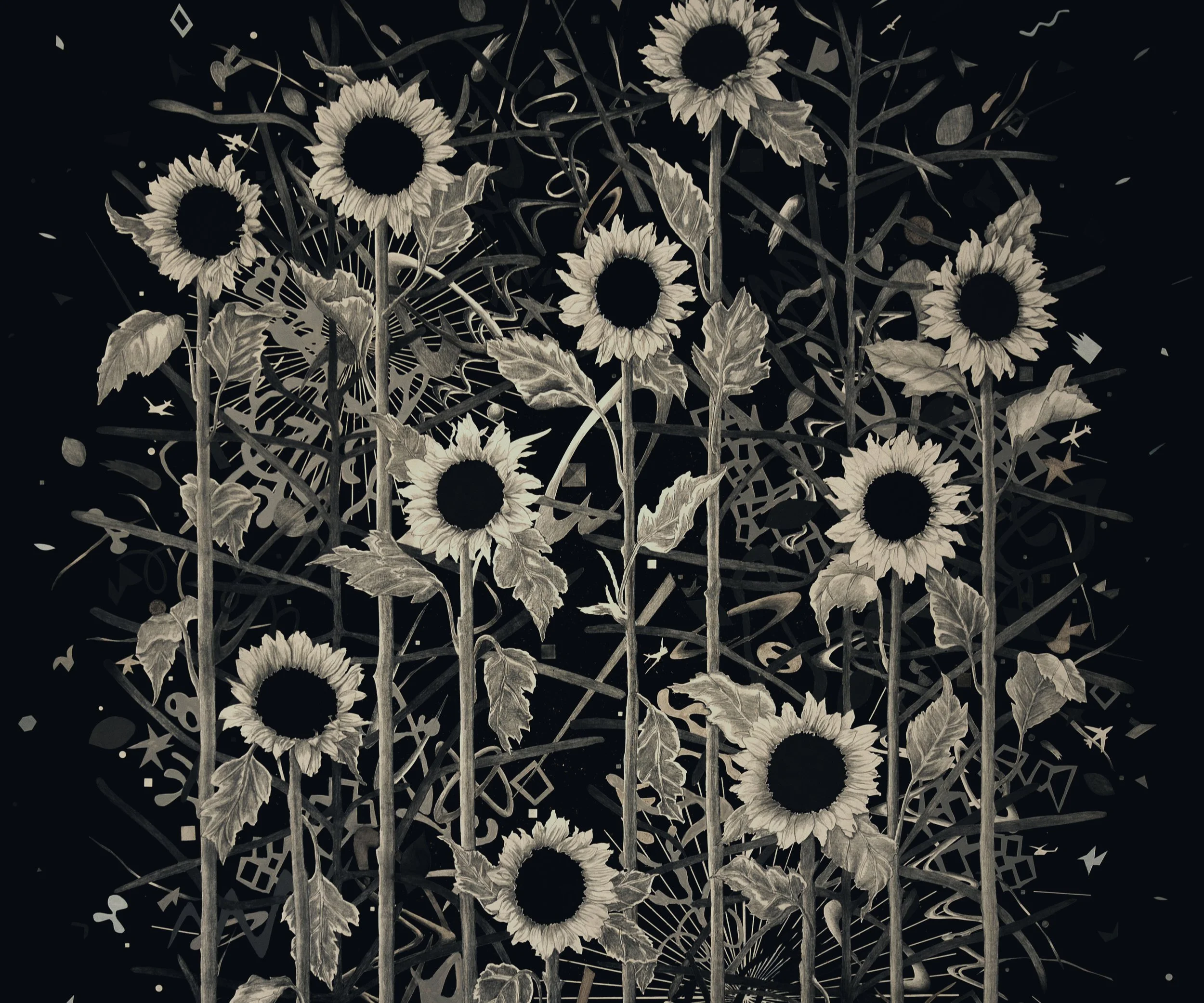 676_Roland_Reiss_Girasole_Ia.jpg