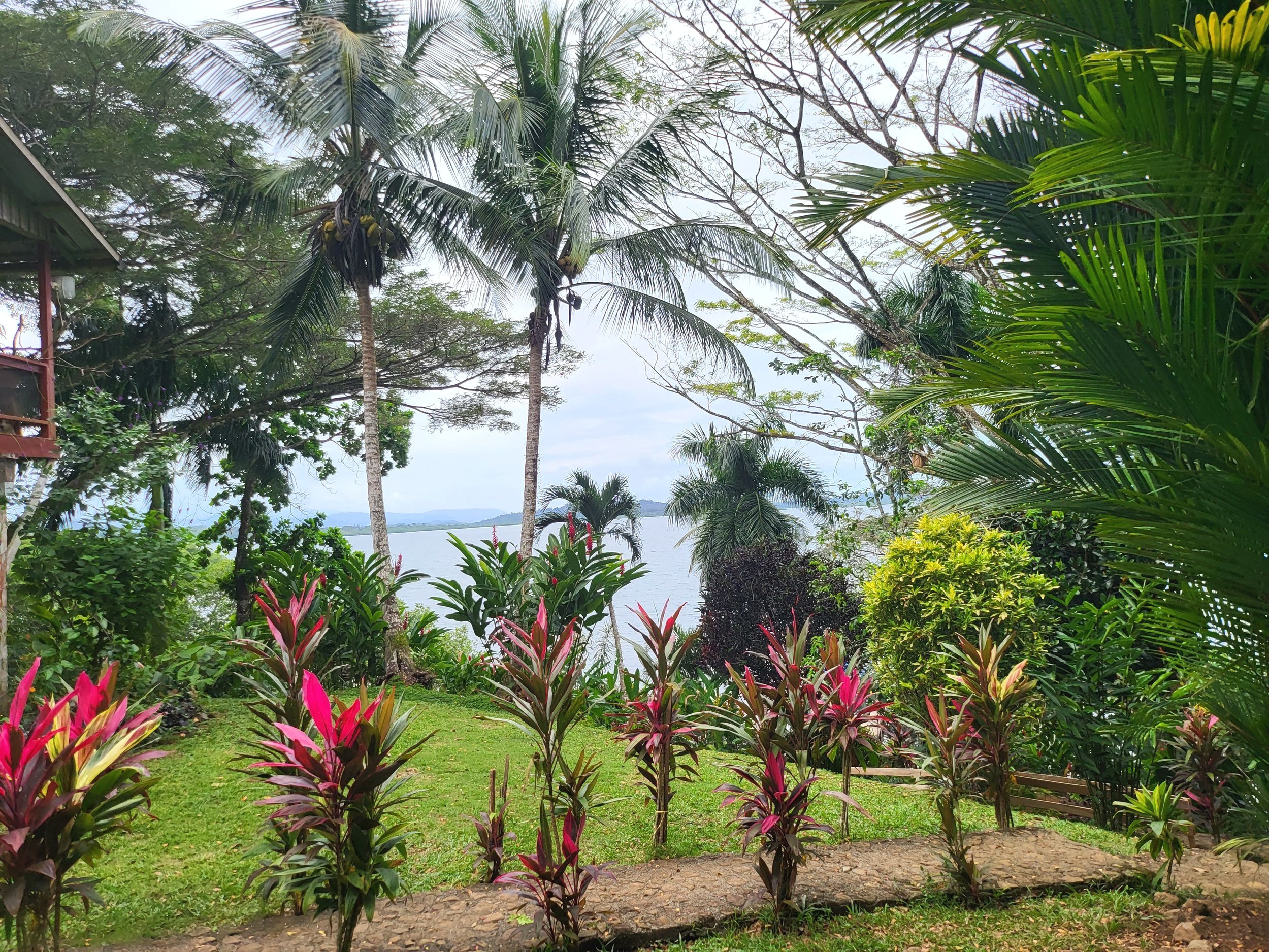 Botanical Chocolate Farm Tour