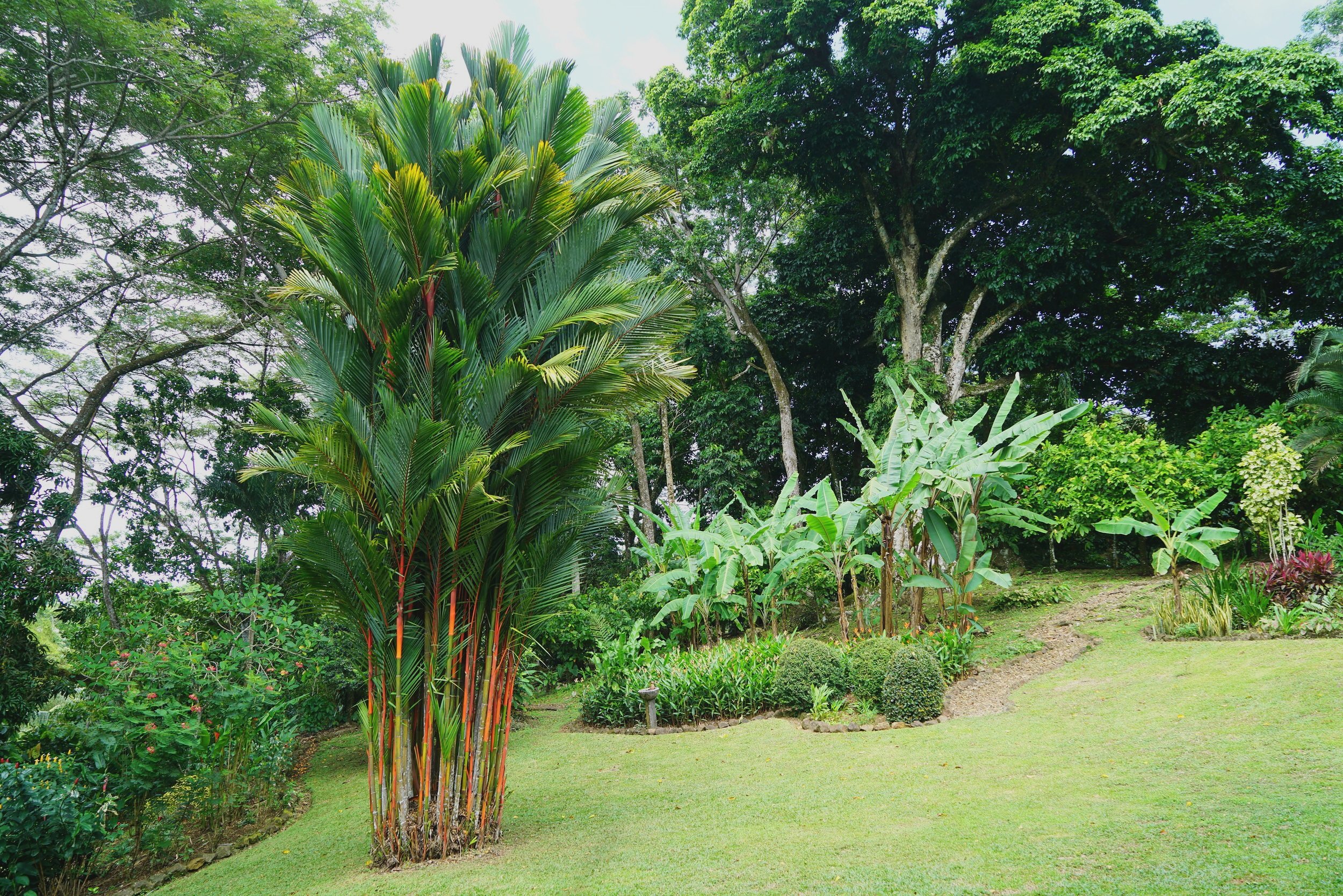 Botanical Chocolate Farm Tour