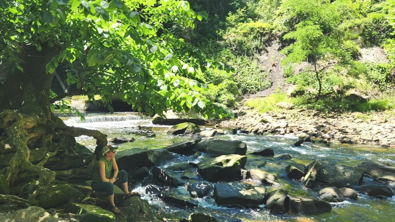 Rewilding Using Ecosomatics at Barefoot &amp; Free Yoga Festival