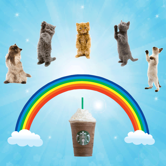 SBUX064_CAT_GRID_RAINBOW_TU_080614.gif
