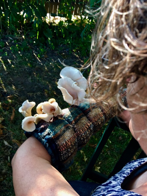 Games for Mushrooms and Non-Mushrooms Carol Padberg leads games that encourage cross-species engagements with mycelia and the mycelial fruits we call mushrooms, while participants create new games through working in small groups.