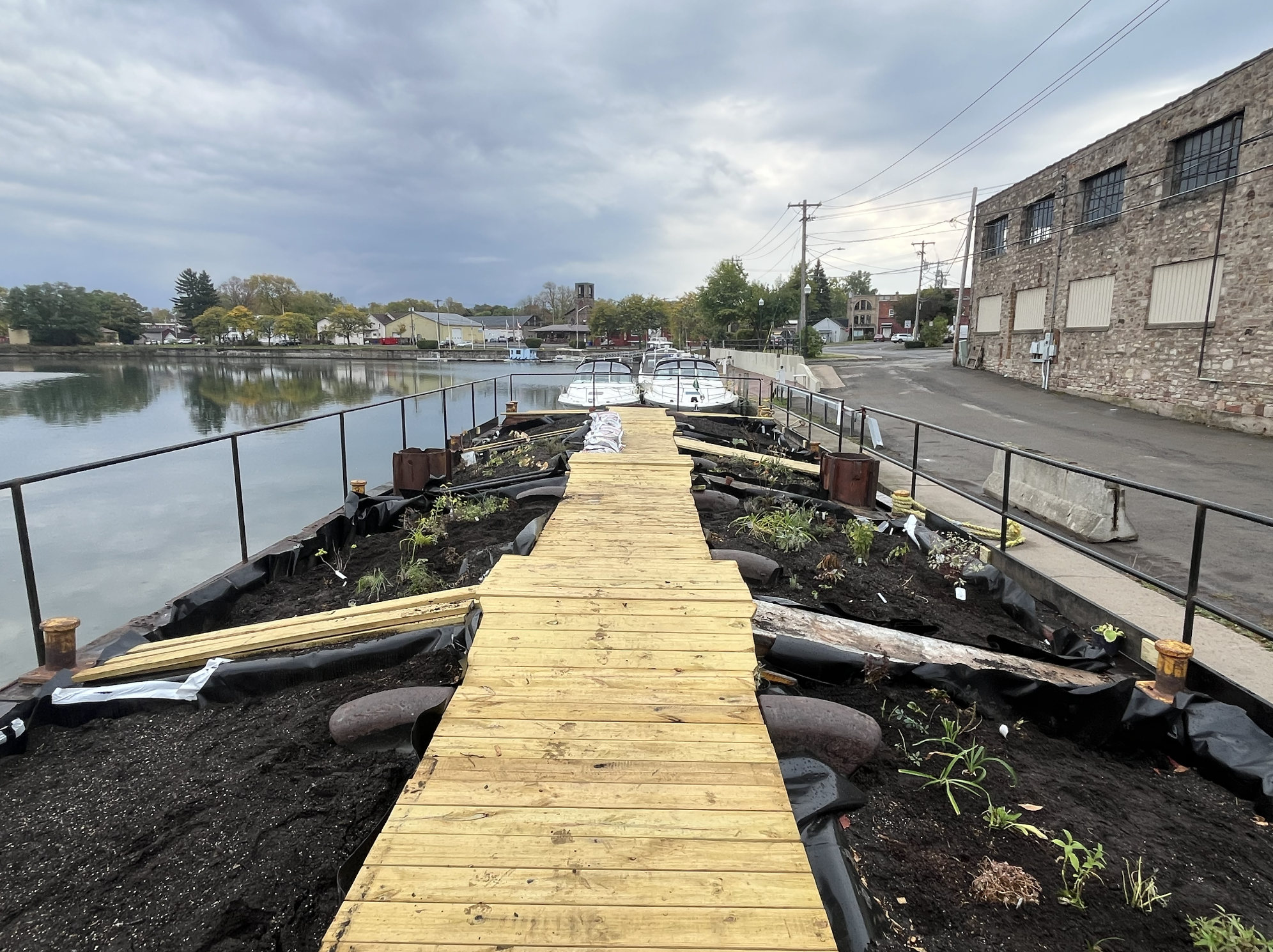 Screenshot 2026-02-11 at 10.38.04 AM.png