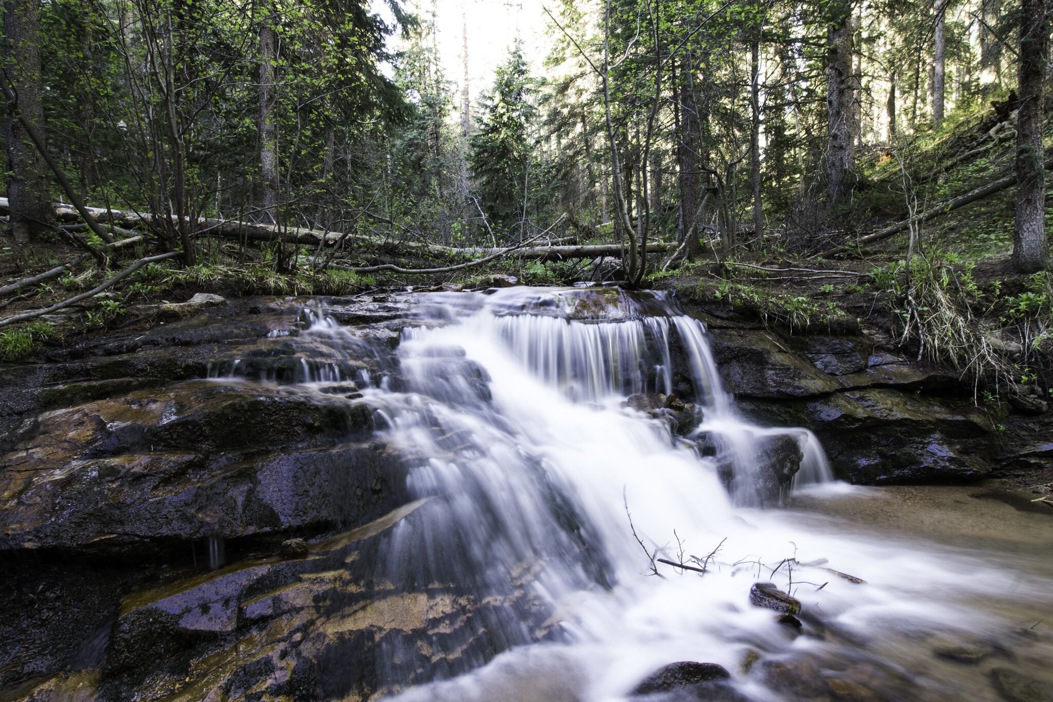 Find Joy on the Trails at Maxwell Falls — West + Main