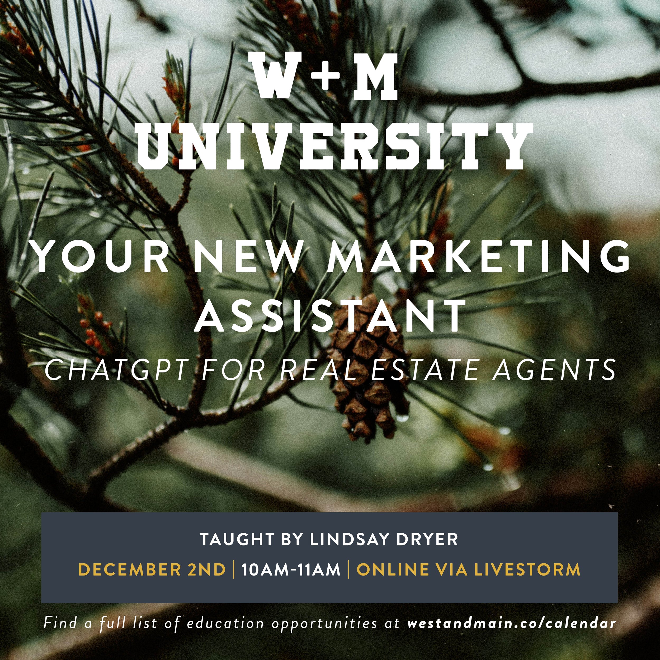 W+M University: Your New Marketing Assistant