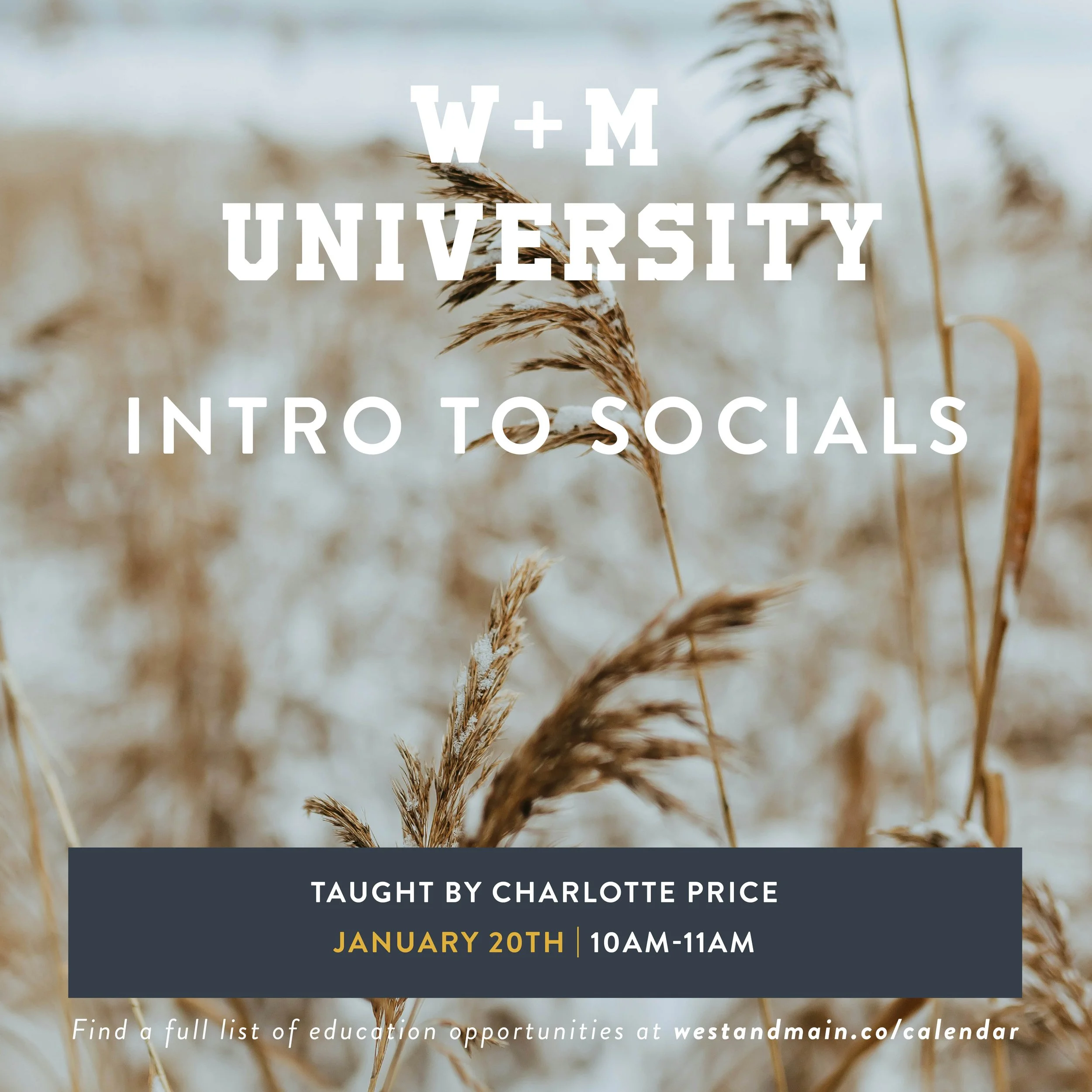 W+M University: Intro to Socials