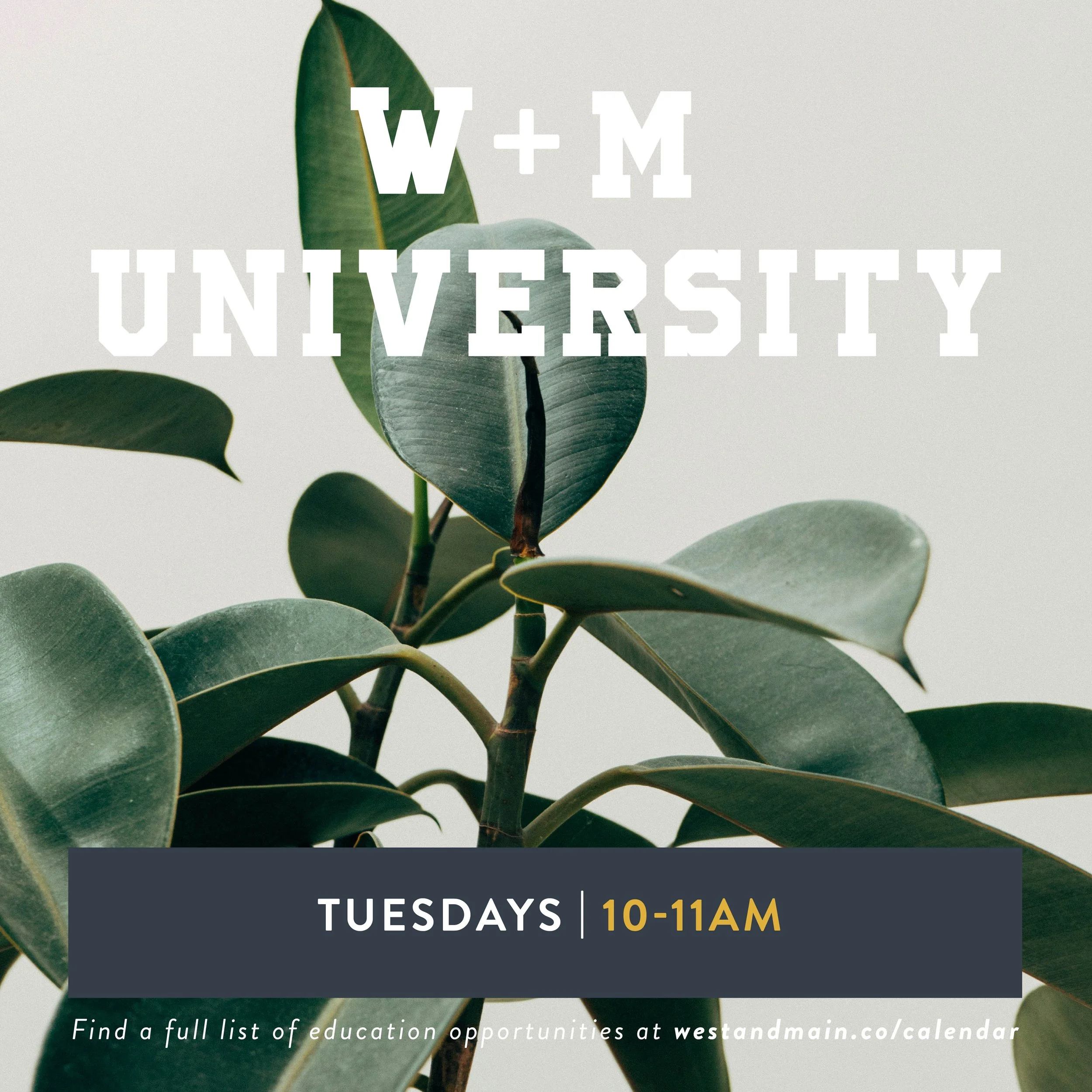 W+M University