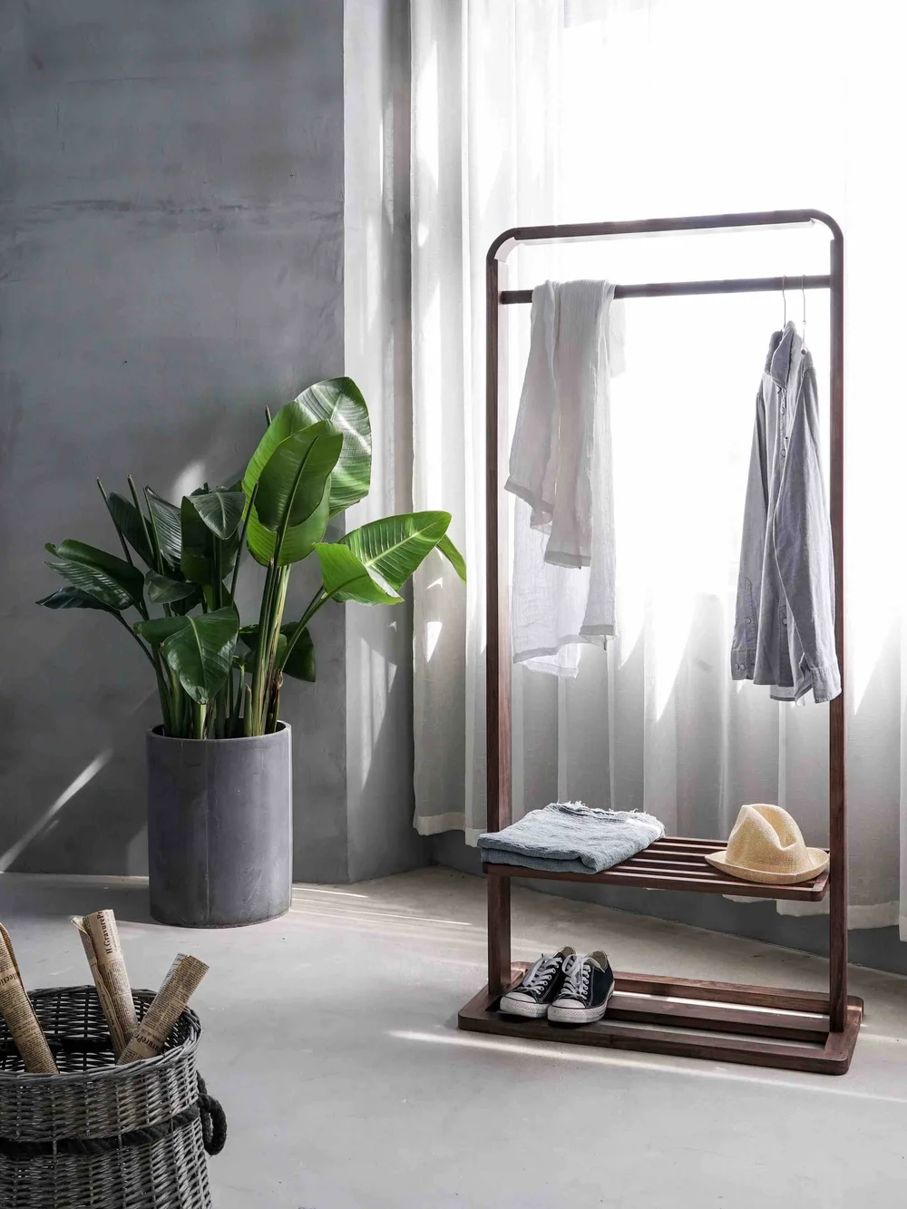 Yes Plants Can Absorb Sound Here Are 5 Leafy Beauties That Ll Help Turn Down The Volume In Your Home West Main