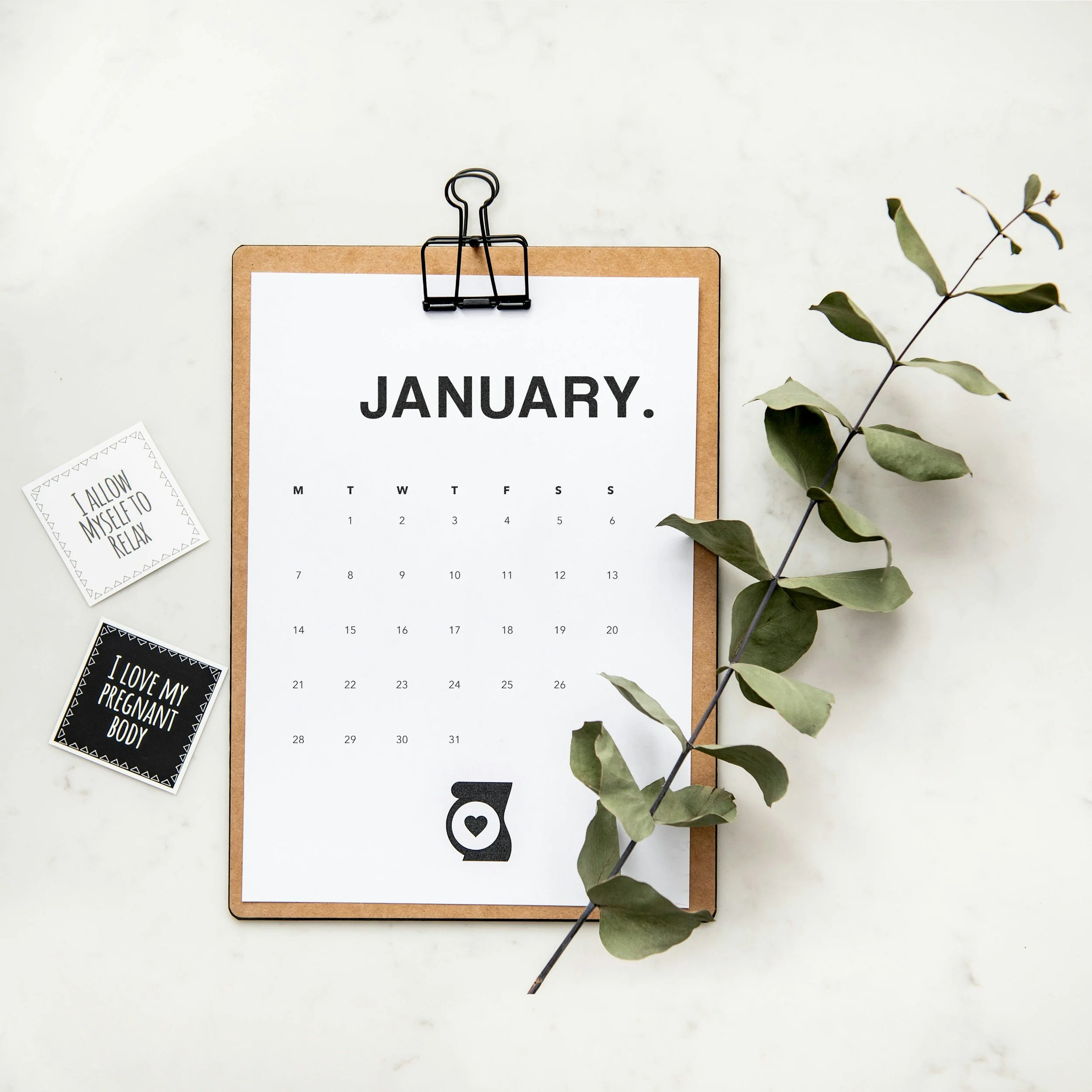 January calendar with branch