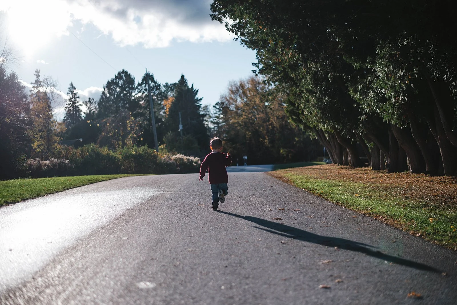 Toronto family photographer (39).jpg