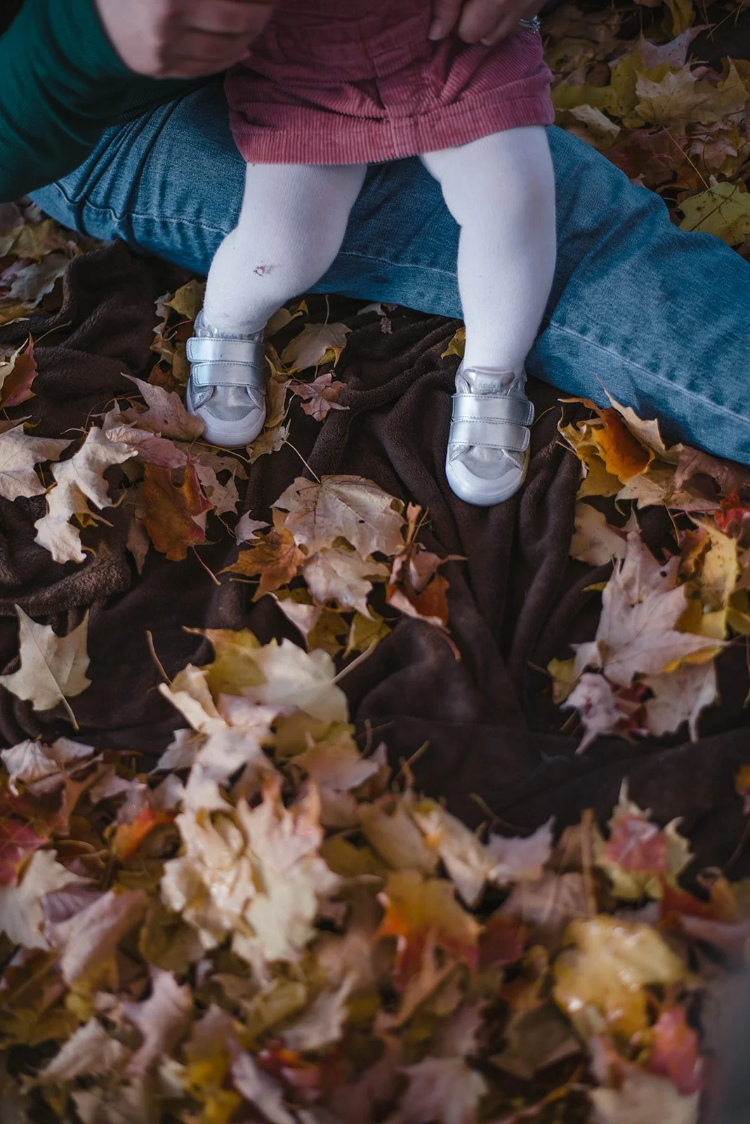 Toronto family photographer (37).jpg