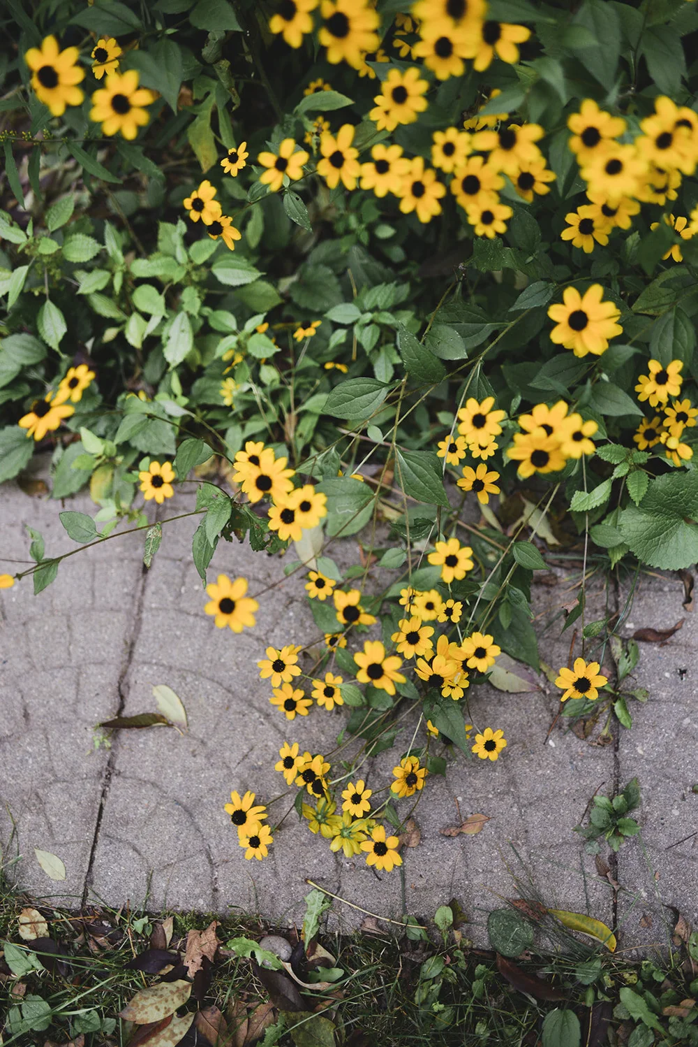 J+G - Getting Ready-224.jpg