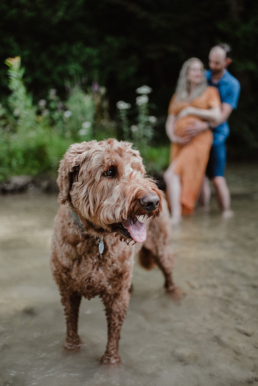 J+G M _ Preview-19Orangeville Ontario Wedding Photographer.jpg